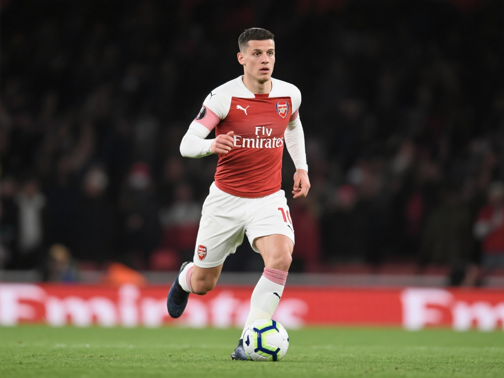 的便利和舒 的便利和舒